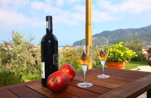 Skopelos Town Apartment | Remvi Apartments