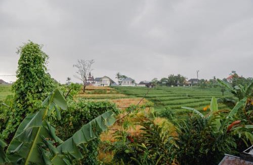 Babakan House | Ricefield View 2 BR villa near Canggu