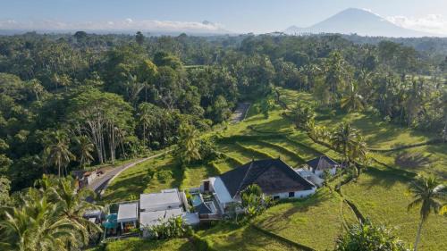 Kenderan Resort | Romantic Cozy Three Bedroom Jungle View Villa in Ubud