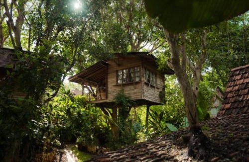 Ungasan Cabin | Roots Tree House