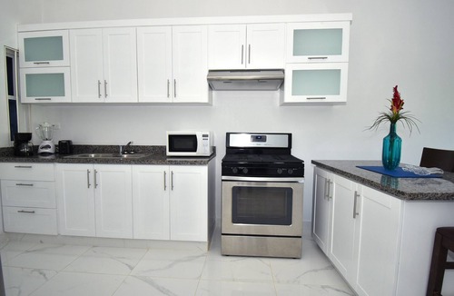 El Pueblito Apartment | Rosil Place, Full Apt #9 with Roof-top Ocean View