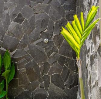 Padonan House | Sampan Canggu