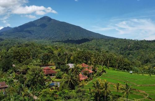Pupuan Resort | Sava Eco Retreat