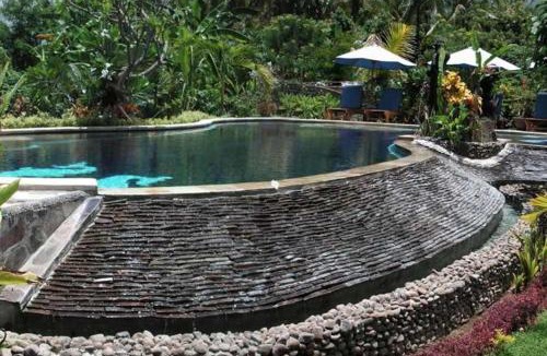 Lovina Resort | Sawah Lovina