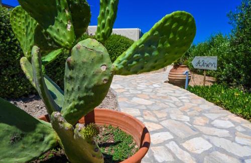 Schinoussa Town House | Schinoza Luxury Suites