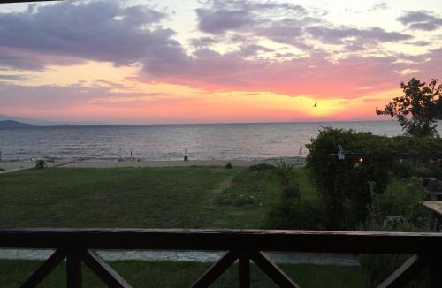 Aristotelis House | Seafront house with garden