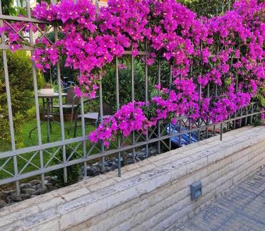 Flogita Apartment | SOLMAR HOUSE