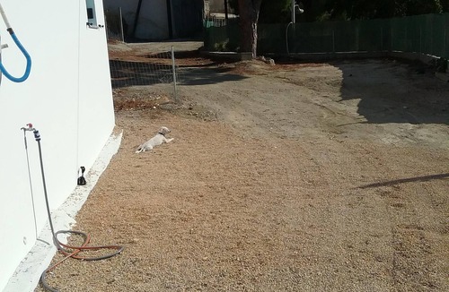 Kamari House | Sophie's Boutique Home - modern Greek house with outside Jacuzzi,