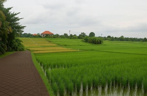Batu Bolong Villa | Spacious 3BR Hideway - Private Lap Pool, Peaceful, Perfect Location