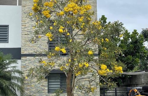 Bonao Apartment | Spacious & Homey 4-bedroom apartment with WiFi and AC in welcoming Bonao