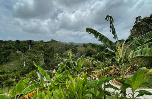 El Limon Villa | splendid villa with its infinity pool offering you a view of nature