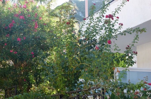 Benitses Apartment | Studio "Galini Studios 4" Near the Beach with Wi-Fi, A/C & Balcony