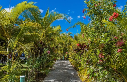 El Centro Villa | Sueños 8 – 2BR Villa with Pool, Starlink Walk to Beach & Shops – Las Terrenas