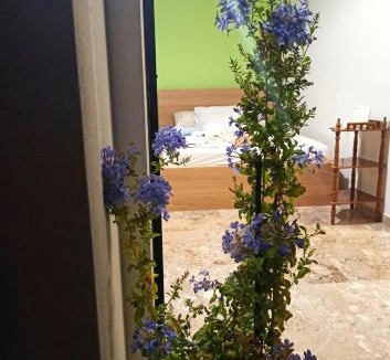 Kalamata Apartment | Sunny Room