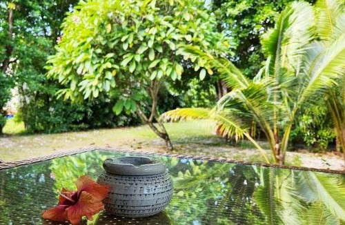 Cerf Island Villa | Surf Tropical Villa Takamaka