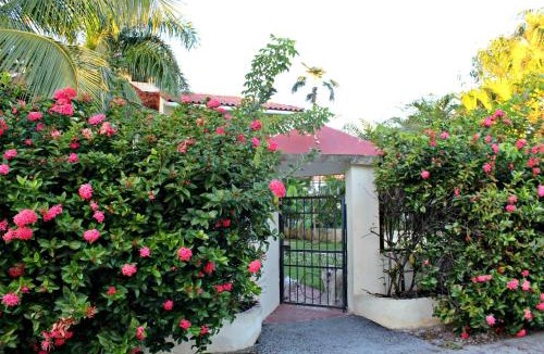 Bavaro House | Sweet Home Punta Cana Guest House - VILLA Q15A