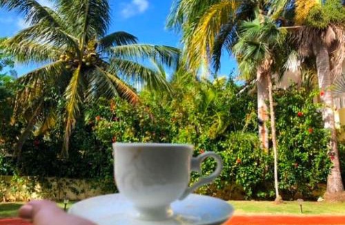 Bavaro House | Sweet Home Punta Cana Guest House - VILLA Q15A