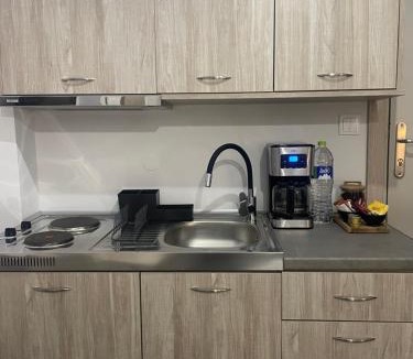 Chios Town Apartment | TERRA HOMERICA
