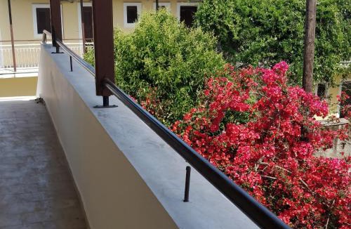 Kavos Apartment | Thaleia Studios & Apartments