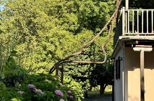 Tsagarada House | The Cottage in the Trees