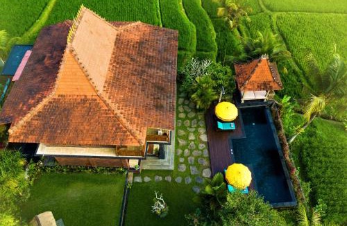 Kedewatan Villa | The Joglo at Umah Sunset