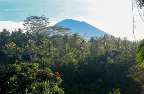 Kedewatan Resort | The Payogan Villa Resort and Spa Ubud