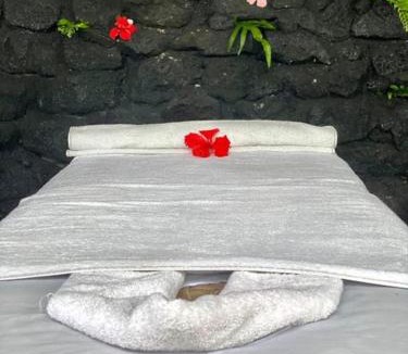 Taveuni Island East Hotel | The Pointe Taveuni
