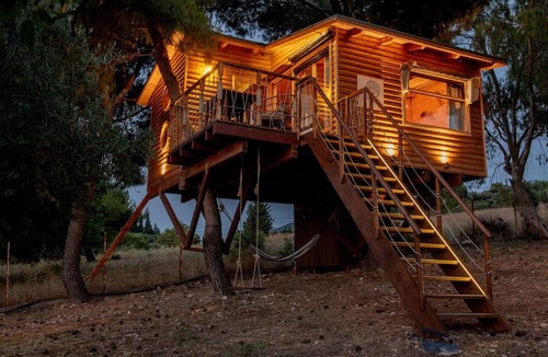 Rio House | the Treehouse Project