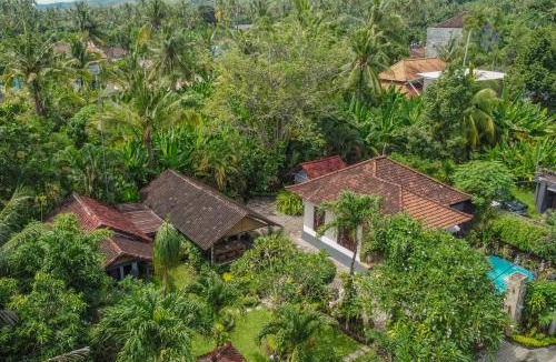 Temukus House | Tropical Oasis Lovina