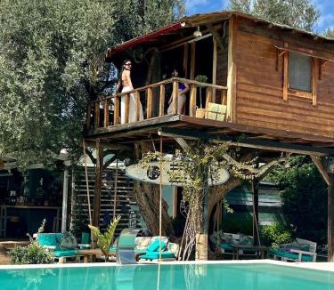 Dirfys-Messapia Apartment | Tuz Treehouse