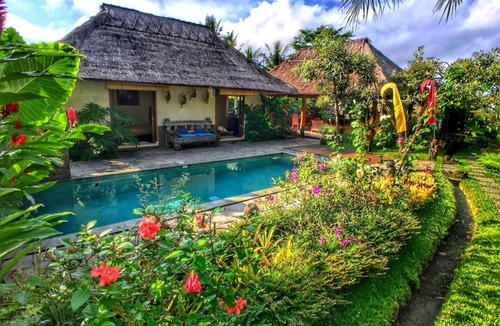 Pejeng Villa | Two Bedroom Villa Rice Field view Private Pool