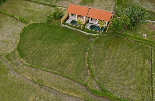 Ubud City-Centre Villa | Uma Rimbun Villa by Dhananjaya Hospitality