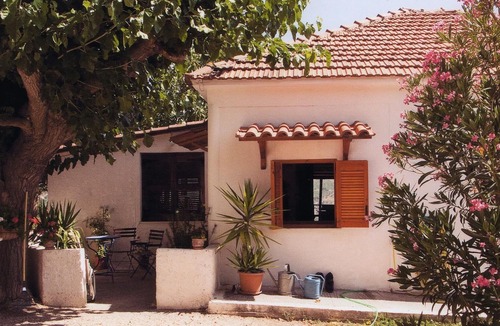 Aigialeia House | Vacation home olive garden in Greece