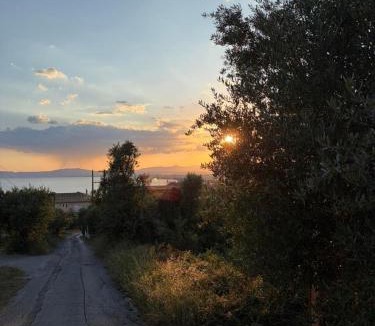Diasella Apartment | Verga Olive Grove Studio