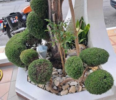 Katerini Apartment | Villa Alexander