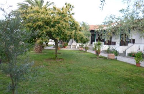 Thasos Town Apartment | Villa Dafni Studios