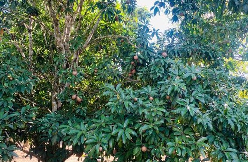 Higuey Villa | Villa de Dios el guanito ecolodge