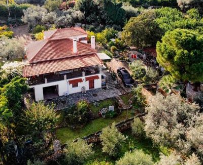 Taxiarchis Villa | Villa Eirini with sea view
