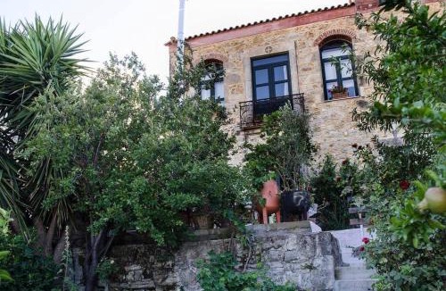 Venerato Villa | Villa Elborgini