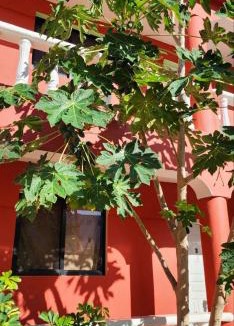 Punta Rucia House | Villa KIKI Ensenada