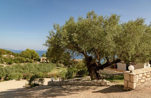 Elation Apartment | Villa Mare Studios