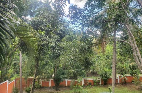 Pedro Brand Villa | villa mariposa