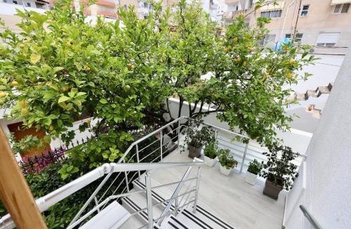 Kodrra House | Villa Orkidea
