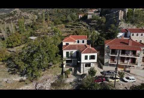 Petra House | Villa Petri