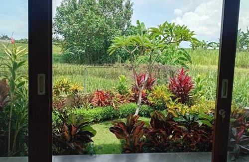 Cemagi Villa | Villa Riceview