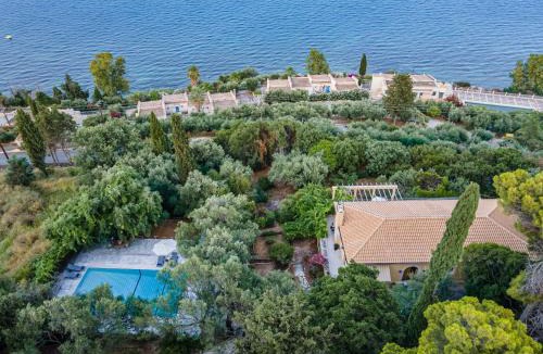 Dafnata Villa | Villa Scheria