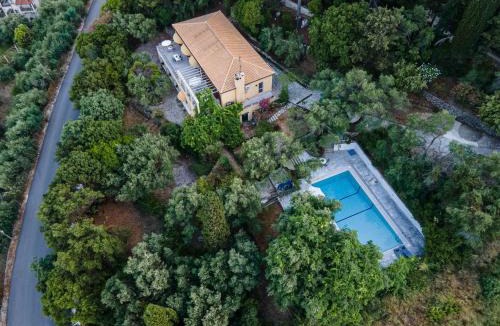 Dafnata Villa | Villa Scheria