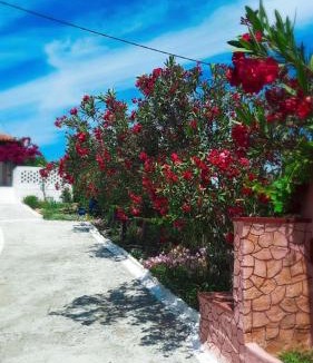 Kato Samiko Villa | Villa Thea