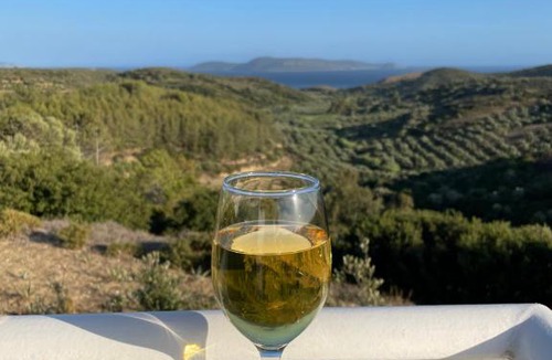 Pylos-Nestoras House | Villa Valleyview Methoni