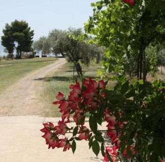 Amarinthos House | Villa Vlichos